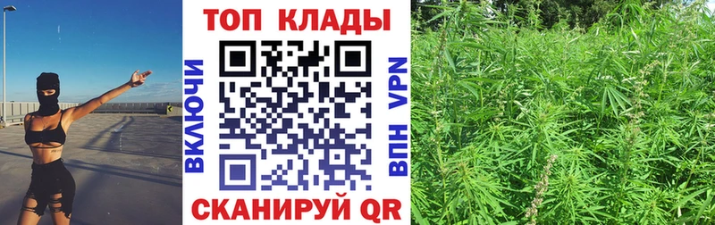 Как найти наркотики Тюкалинск СК  Канабис  Мефедрон  Гашиш  Псилоцибиновые грибы  Cocaine 