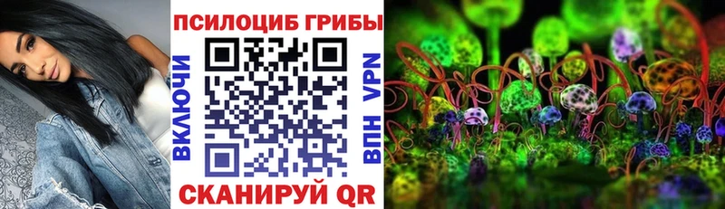 Галлюциногенные грибы Psilocybine cubensis как найти наркотики мега ссылки Тюкалинск